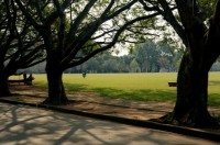 /album/galeria-de-fotos-entregas/centro-76395-jpg/